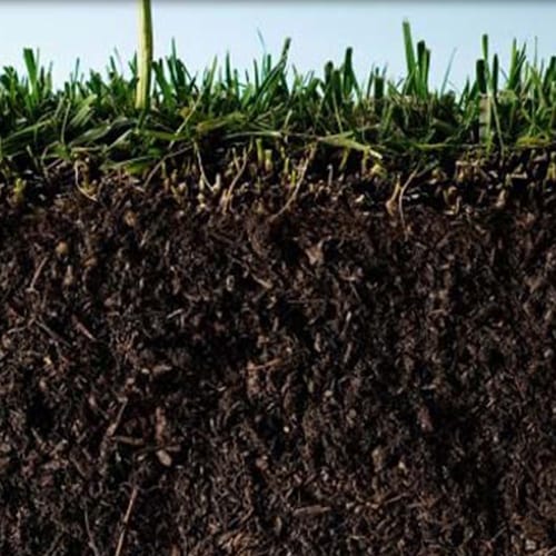 Biosol Natural Organic Fertilizer